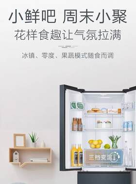 海.尔冰箱家用6升法式双门对开门无霜除菌一级变频法式超薄冰箱
