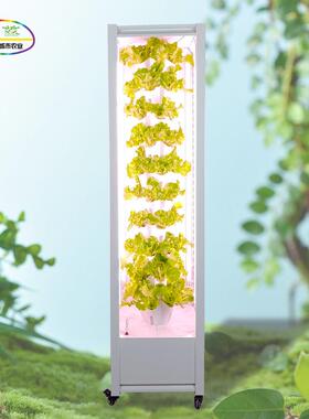 家庭智能立柱式水雾栽培种植柜种菜机水培雾培无土栽培种植设备