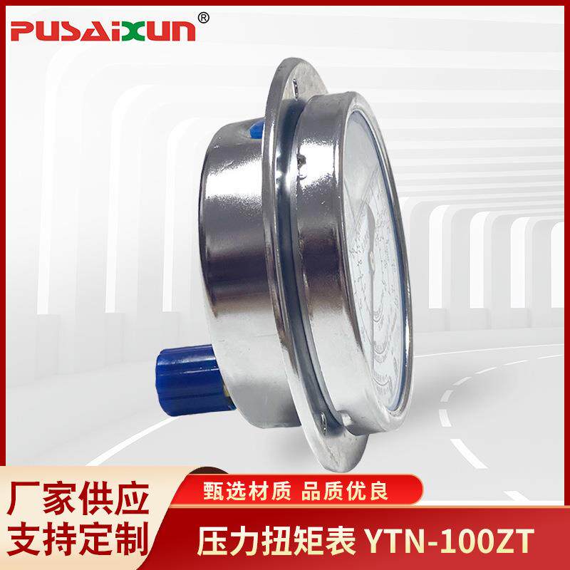 压力扭矩表液气体压力测量表压力扭矩表YTN-100ZT指示型压力表