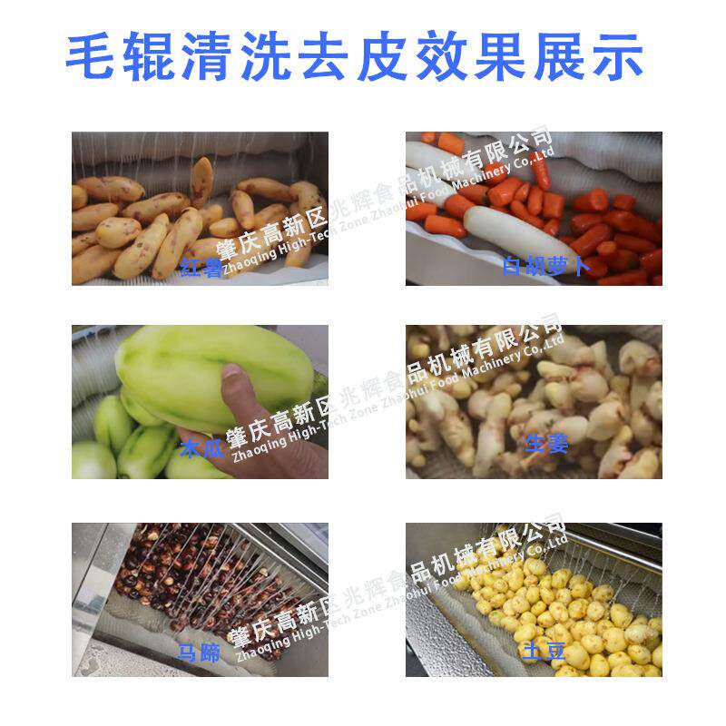 毛辊土清洗机刷毛LLM去皮清洗果蔬清洗机豆洋芋葡机萄桃子自动清