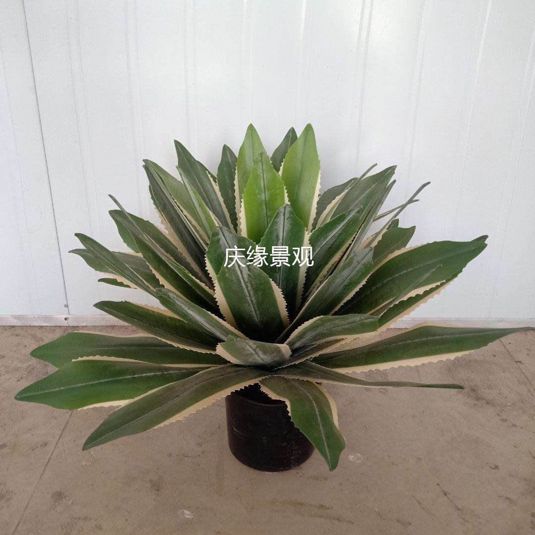 仿真龙舌兰黄边丝兰树黄边绿植盆栽客厅庭院落地植物摆件