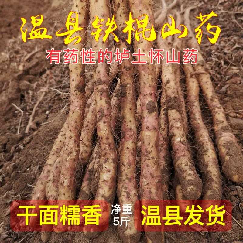 温县铁棍山药5斤正宗河南焦作特产垆土铁杆怀山药现挖新鲜怀山