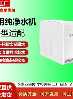 碧丽家用RO反渗透净水器400G大通量一级水效即滤即饮厨下直饮机