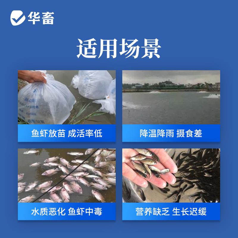 华畜VC应激灵VC应激 鱼虾欢维生素C鱼用多维水产鱼虾蟹专用
