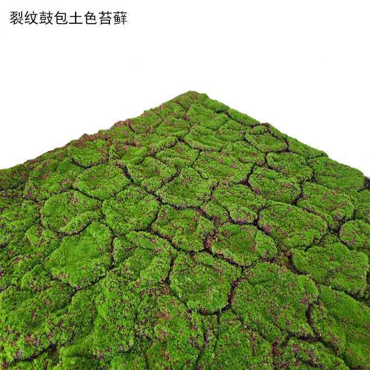 仿真苔藓草皮假苔藓室内景观青苔草皮场景橱窗造景微景观假草坪
