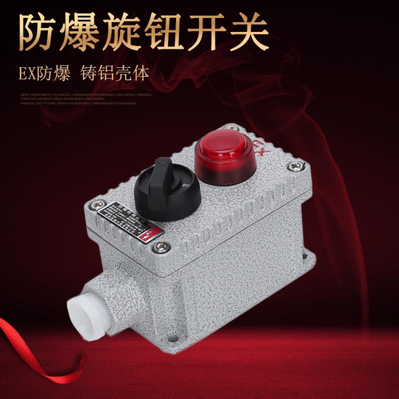 防爆控制旋钮开关2档3档转换开关带指示灯按钮盒自锁旋钮带EX