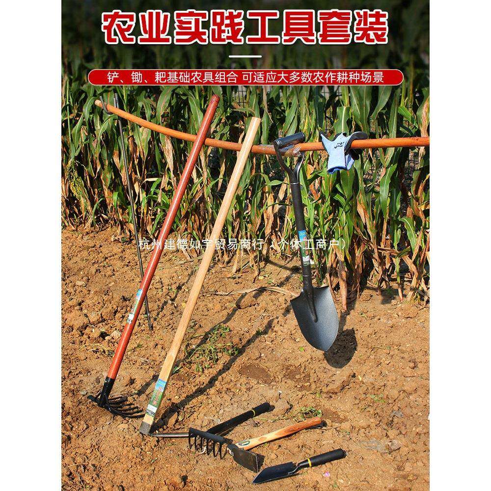 农用种植套装种菜农生业实践子具学劳动农具挖QYO土工铲锄头除草
