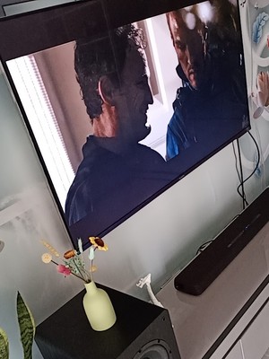 nobsound /诺普声sw-100超重10寸怎么样？听说是最大的坑爹牌子？