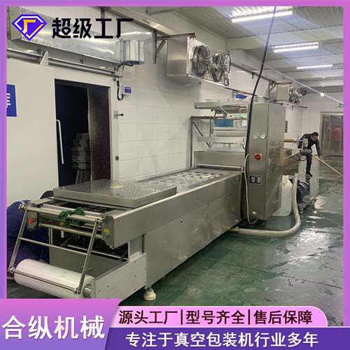 豆干辣条鸡胸肉DLZ420/520全自动连续热成型拉伸膜真空包装机