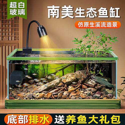 超白玻璃南美风溪流桌面造景鱼缸客厅小型鱼龟共养生态新款乌龟缸
