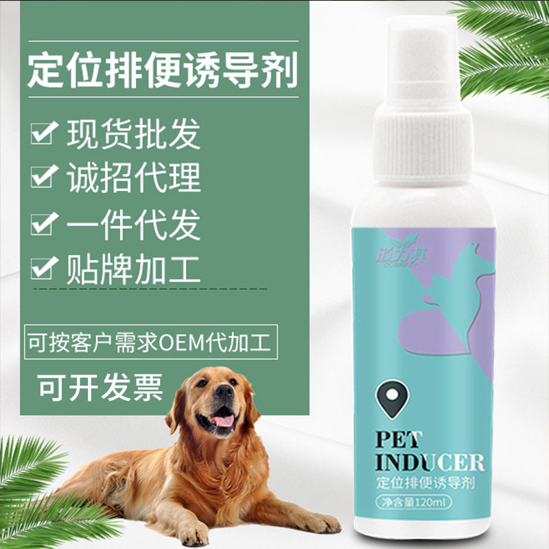 大小便喷雾剂厕所狗狗排便狗厕所