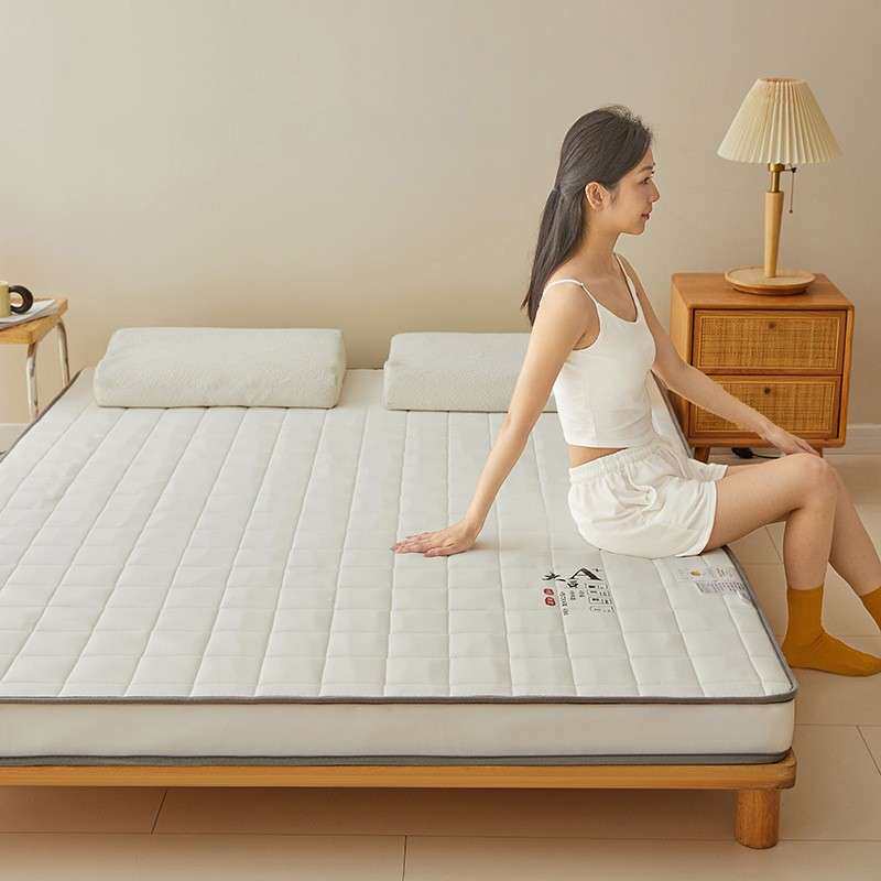 乳胶大豆记忆海绵床垫软垫家用加厚宿舍学生单人榻榻米海绵垫褥子