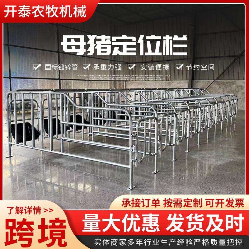 母猪定位栏限位栏落地式简易产床栏养猪设备猪圈围栏母猪限位栏