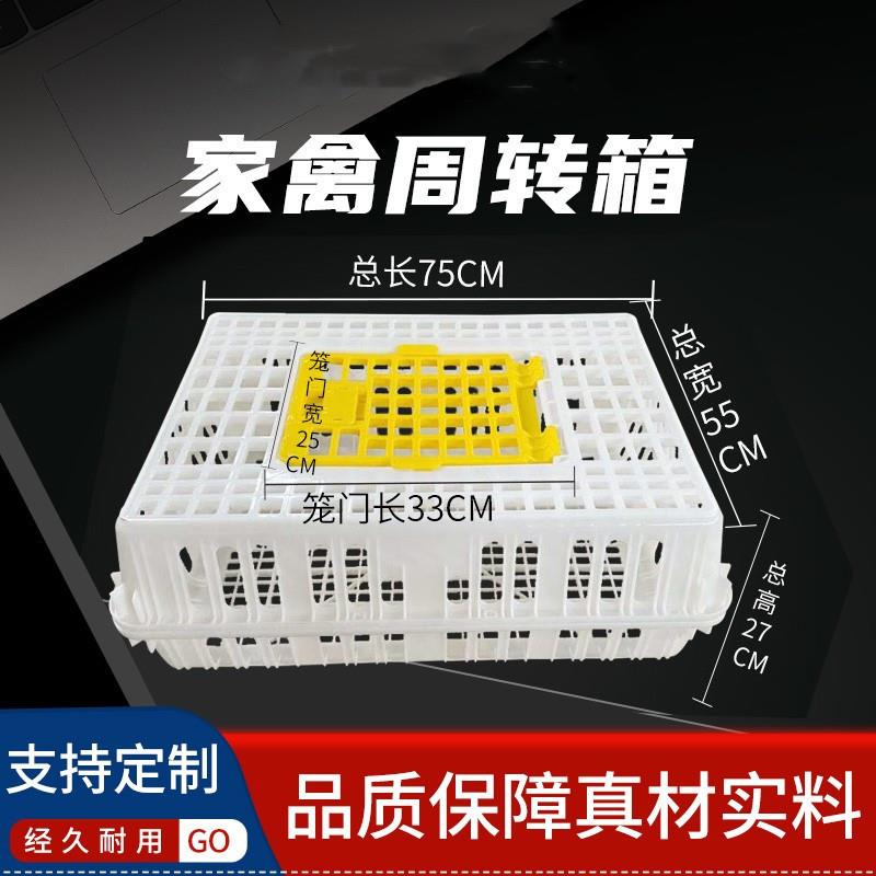 运输鸡笼加厚成鸡周转箱特大周转筐鸭鹅鸽子笼家用鸡筐塑料鸡笼子