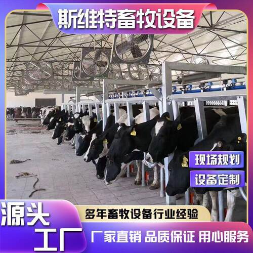 奶羊并列式挤奶机智能化挤奶厅24-100位中小型牧场挤奶设备