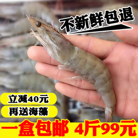 新鲜野生对虾鲜活基围虾海捕大虾，活虾青虾明虾大海虾海鲜水产