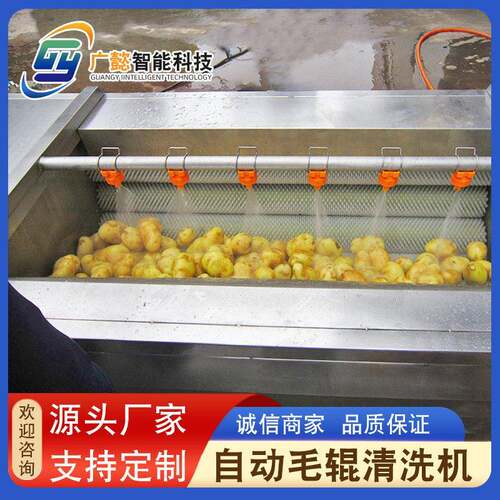 紫薯地瓜去皮机芋头毛辊清洗设备商用槟榔毛刷清洗机洗菜机