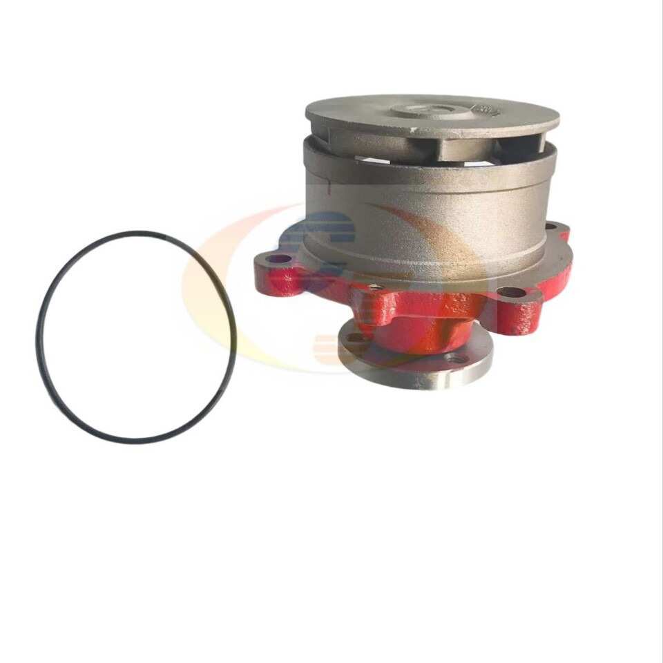 D4D水泵挖掘机EC210B EC290B道依茨发动机BFM1013水泵04205929