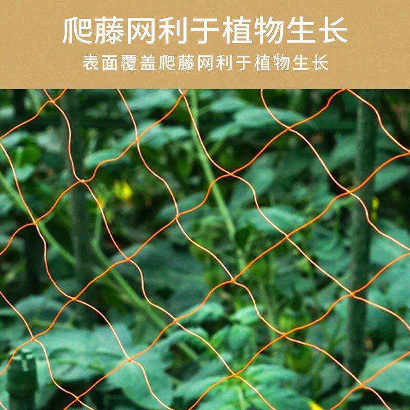 枝晓 种植箱14多功能 爬藤架 蔬菜黄瓜架丝瓜四季豆架子豆角葫芦