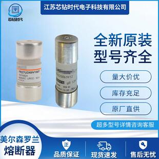 美尔森Ferraz罗兰熔断器 FD20GC100V63tJ083659