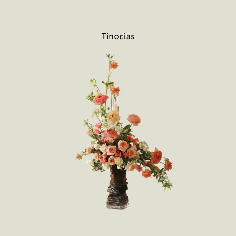 Tinocias玻璃花瓶艺术插花花器摆件装饰高级感水培器皿花艺摆件2