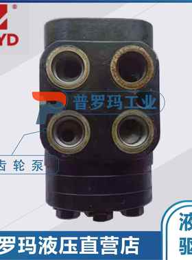 ZIHYD宁波中意液压马达 BHR1-100-Y50-P/C