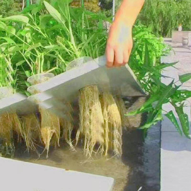 ea种植浮板鱼菜共生板水稻430蔬浮菜水培定植浮床EVA泡漂棉漂v浮