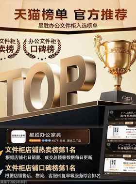 钢带制公室铁皮S23131文件柜财务料档办案柜锁凭证柜抽屉矮资柜储