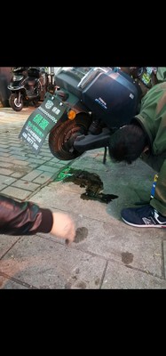 绿源电动车怎么样?体验一个月彻底受不了,内幕揭秘