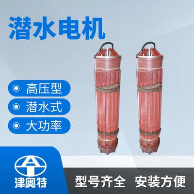 1228至1242系列压潜水电机大功率三相异步电动机厂家供货