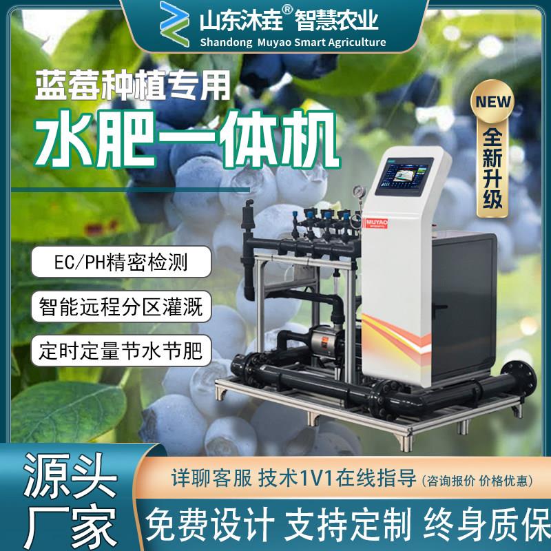 水肥All蓝莓精量农业全智能果园农田大棚过滤滴喷灌溉施肥设备