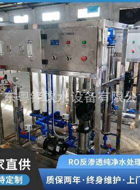 食品饮料酒厂全自动纯净水设备 RO反渗透纯水设备 水处理设备