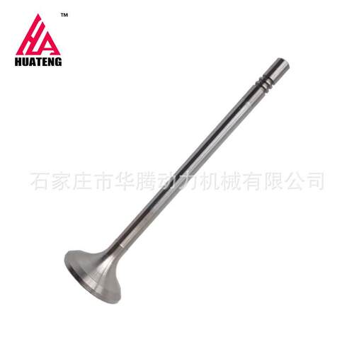 道依茨TCD2013 进气门0490 3005 0490 0685 04903005 04900685