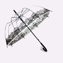 蕾丝建筑屋rain透明雨伞小胡子铁塔透明伞可印长柄伞阿波罗伞