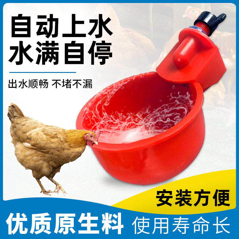 家禽自动饮水碗鸡用自动饮水器喝水碗喂水器鸡鸭鸽子鹌鹑鸟饮水器
