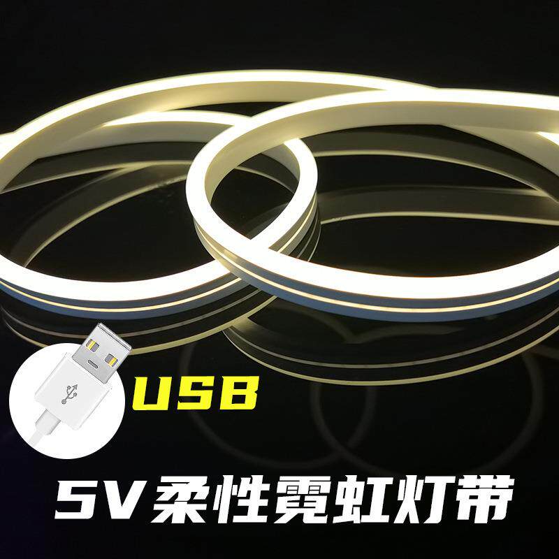跨境LED硅胶柔性霓虹灯带5V低压电池USB灯带氛围灯装饰手绘灯光画
