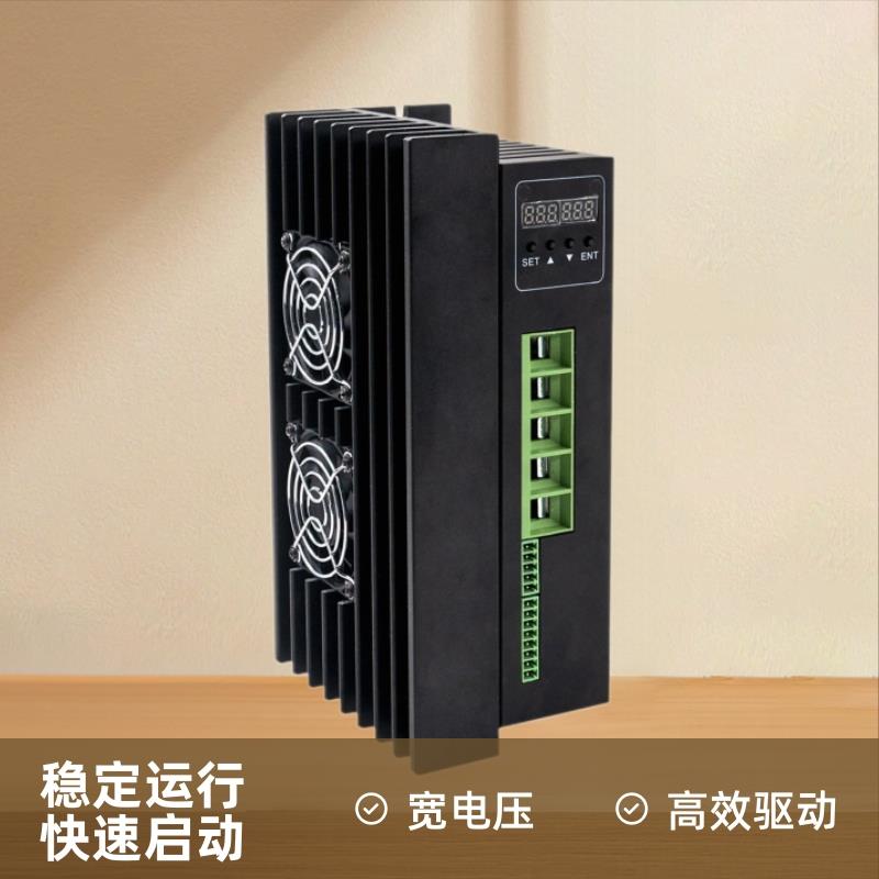 24-48伏3000瓦直流无刷电机马达驱动器DBLS-02-H-F100A控制器