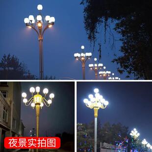 广场9火大型组合灯8米12米景观灯市政道路灯LED中华玉兰灯