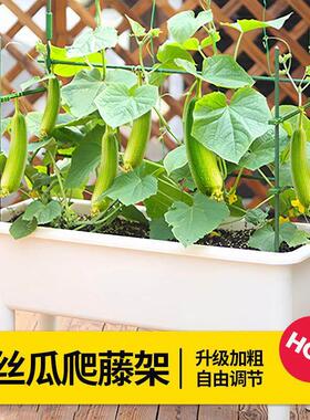 爬藤支架番茄蔬菜西瓜支撑杆黄瓜西红柿阳台爬藤架植物瓜果花架
