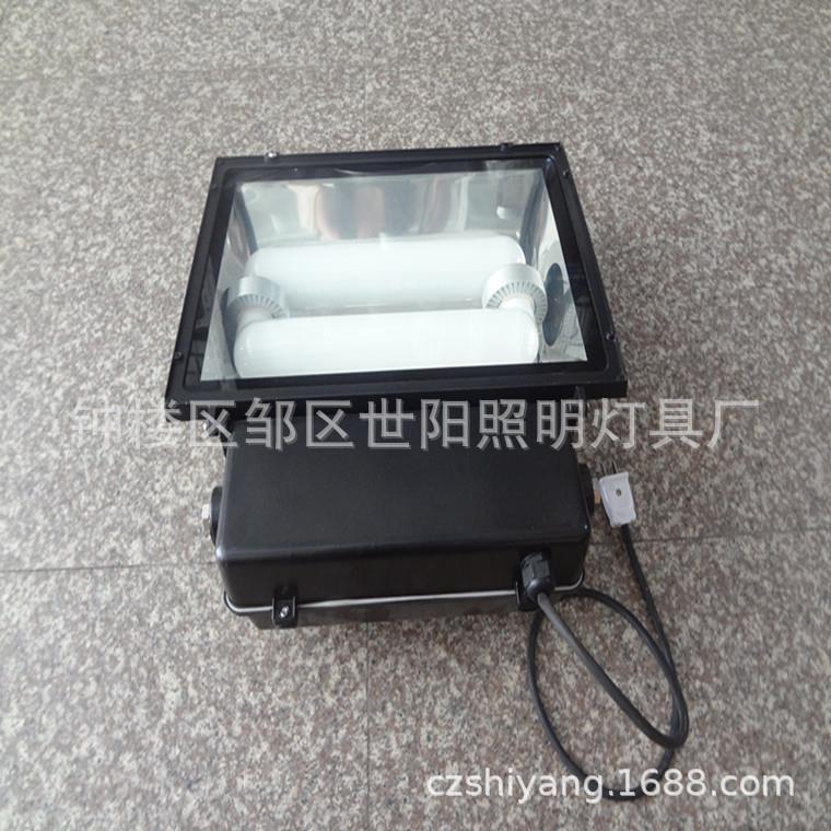 高低频无极灯灯具 灯具配件灯罩无极灯泛光灯集装箱整柜