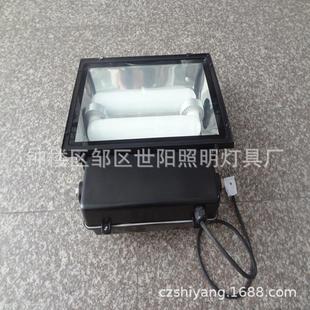 高低频无极灯灯具灯具配件灯罩无极灯泛光灯集装箱整柜