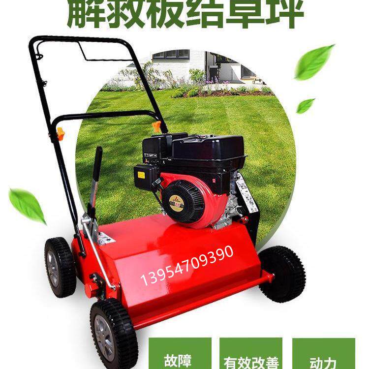 诺伯曼梳草机草坪梳草机汽油6马力手推式真草坪打孔机草地梳理机