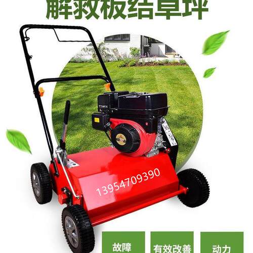 梳草机草坪梳草机汽油6马力手推式真草坪打孔机草地梳理机