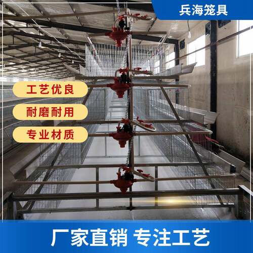 阶梯式蛋鸡笼清粪机清粪系统养殖清粪机四层蛋鸡笼清粪机