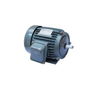 爱德利电机750W 交流马达 380V机械设备4极0.75KW三相异步电动立式