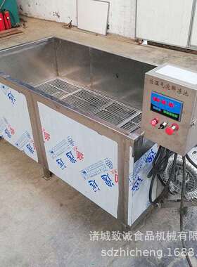 致诚气泡清洗机  热水餐具清洗池现货 恒温餐厅蔬菜处理设备
