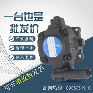 F07 北部精机叶片泵VPNE 116 30油泵