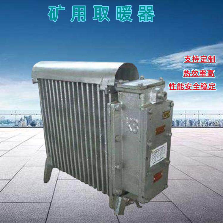 煤矿用防爆电暖器2000W隔爆电热取暖器插电式暖气片