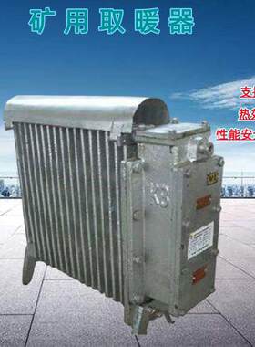 煤矿用防爆电暖器2000W隔爆电热取暖器插电式暖气片