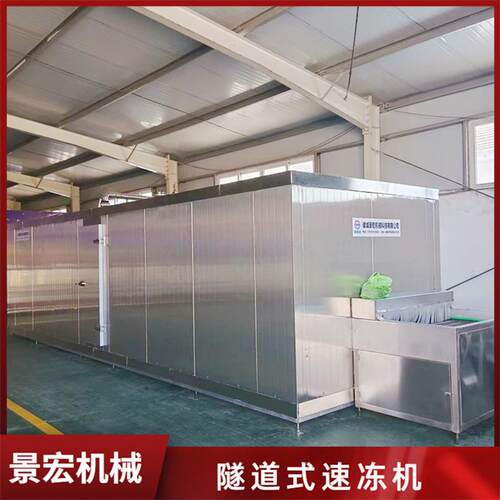 隧道式鲈鱼速冻机黄花鱼鲍鱼单冻机鱼类水产连续式速冻设备